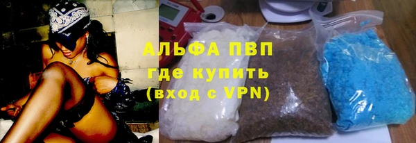 стафф Алзамай