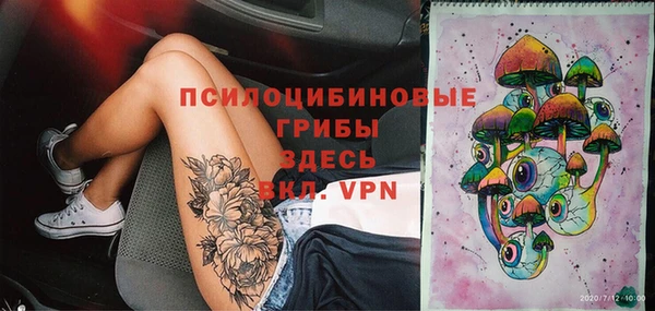 стафф Алзамай