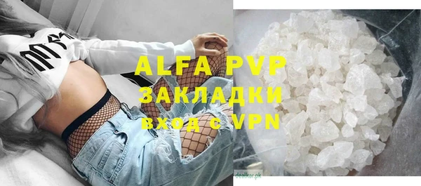 стафф Алзамай