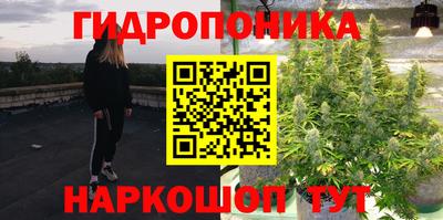 Альфа ПВП Ипатово